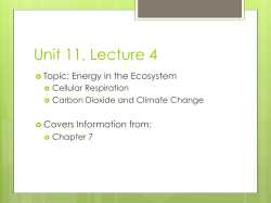 Unit 11, Lecture 4