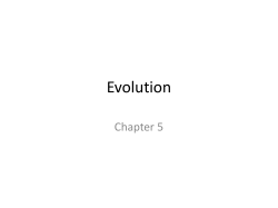 Evolution 5
