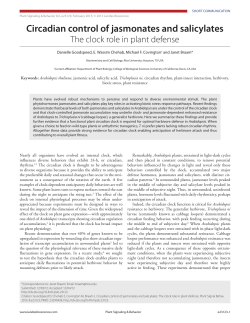 Circadian control of jasmonates and salicylates