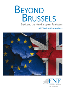 beyond brussels - Janice Atkinson MEP