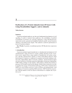 Purification of G Protein Subunits from Sf9 Insect Cells Using