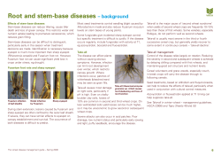 Root and stem-base diseases &ndash; background