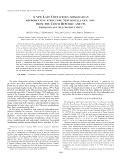 A NEW LATE CRETACEOUS GINKGOALEAN REPRODUCTIVE
