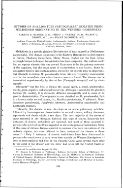 STUDIES ON MALLEOMYCES PSEUDOMALLEI ISOLATED FROM