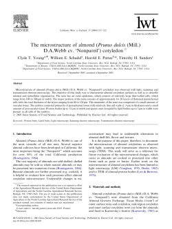 The microstructure of almond (Prunus dulcis (Mill.) D.A.Webb cv
