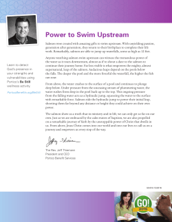 Read Jeff`s article, Power to Swim Upstream, PDF 213KB