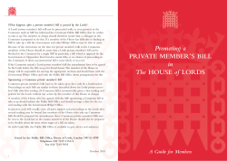 Private Members Bill leaflet