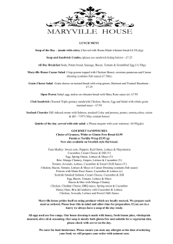 NEW LUNCH MENU feb 15