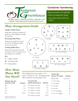 Plant Arrangement Guide How Many Plants Will You Need?