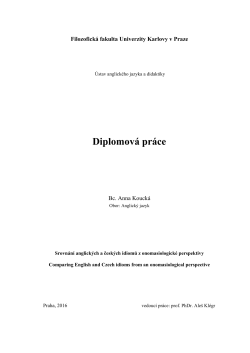 Diplomov&aacute; pr&aacute;ce