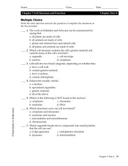 chapter 7 pre-test