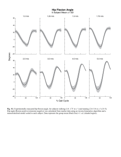 Hip Flexion Angle