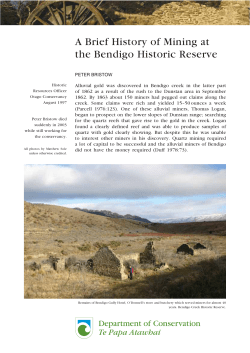 A brief history of mining at the Bendigo Historic Reserve