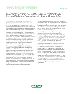 A Gel for SDS-PAGE with Improved Stability - Bio-Rad