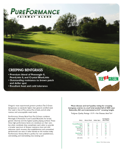 PureFormance Fairway Blend