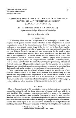 membrane potentials in the central nervous system of a