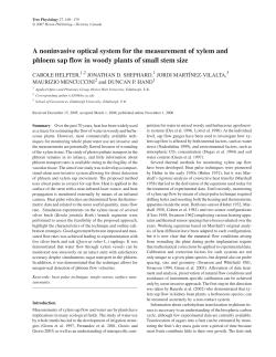 A noninvasive optical system for the measurement of xylem and