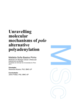Unravelling molecular mechanisms of polo alternative polyadenylation
