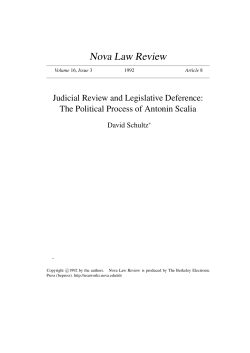 Judicial Review and Legislative Deference: The Political Process of
