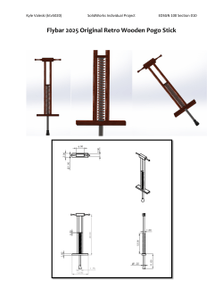 Flybar 2025 Original Retro Wooden Pogo Stick