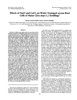 Effects of NaCI and CaCI2 on Water Transport across Root