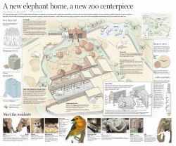 A new elephant home, a new zoo centerpiece
