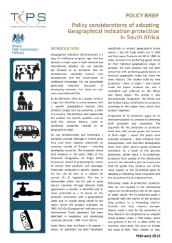 POLICY BRIEF Policy considerations of adopting Geographical