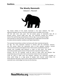 The Woolly Mammoth