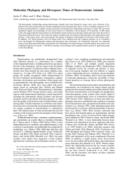 Molecular Phylogeny and Divergence Times of Deuterostome Animals