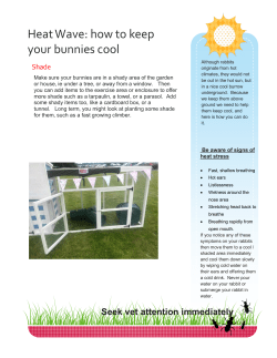 Heat Wave: how to keep your bunnies cool