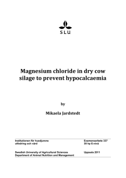 Magnesium chloride in dry cow silage to prevent hypocalcaemia