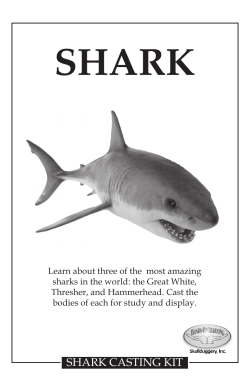 SHARK - Skullduggery