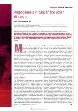insight review articles