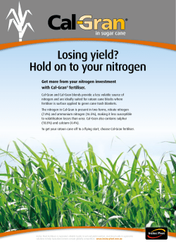 Losing yield? Hold on to your nitrogen