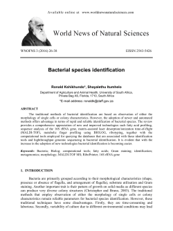 Bacterial species identification