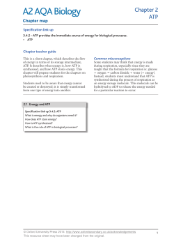 Chapter 2 ATP