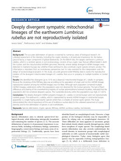 Deeply divergent sympatric mitochondrial lineages of the