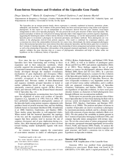 Exon-Intron Structure and Evolution of the Lipocalin Gene Family