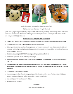 s Library Storybook Pumpkin Patch My Favorite Book Character