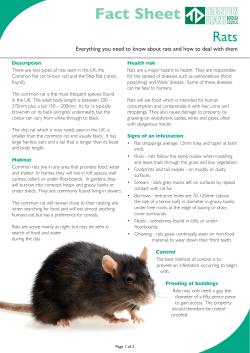 Fact Sheet - Taunton Deane Borough Council