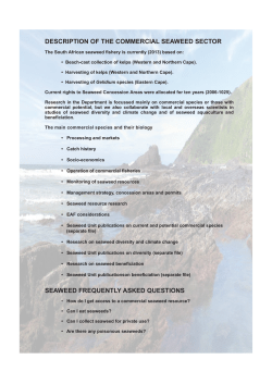 description of the commercial seaweed sector
