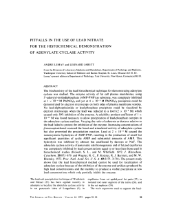 PITFALLS IN THE USE OF LEAD NITRATE FOR