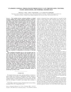 evaporitic subtidal stromatolites produced by in situ