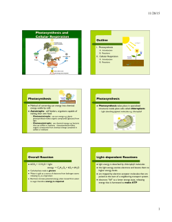 Outline Photosynthesis Photosynthesis Overall Reaction Light