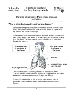 Chronic Obstructive Pulmonary Disease (COPD)