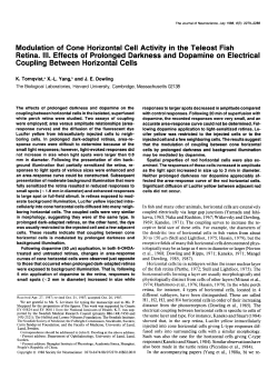 Modulation of Cone Horizontal Cell Activity in the Teleost Fish