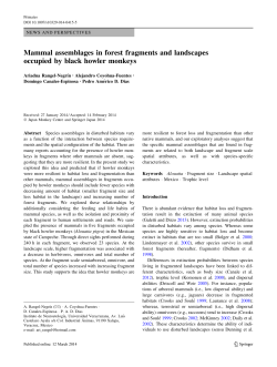 Mammal assemblages in forest fragments and landscapes occupied