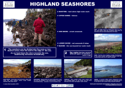 The seashore can be divided into five more or less distinct zones
