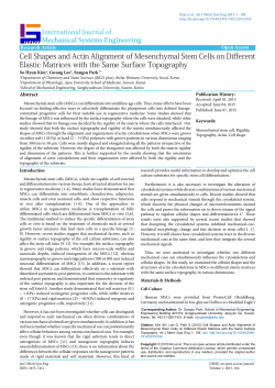 Cell Shapes and Actin Alignment of Mesenchymal Stem Cells on