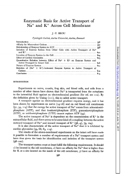 Enzymatic Basis for Active Transport of Na+ and K+ Across Cell